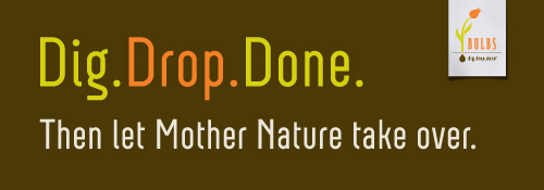 DDD Banner - Mother Nature