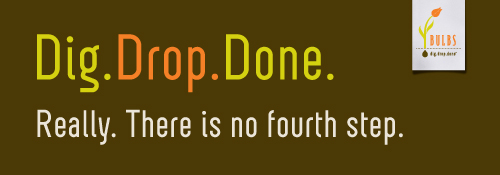 DDD Banner - No Fourth Step