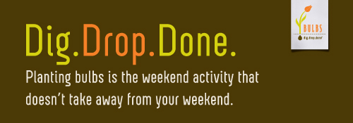 DDD Banner - Weekend